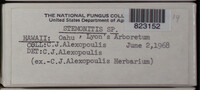 Image Associated With the Occurence